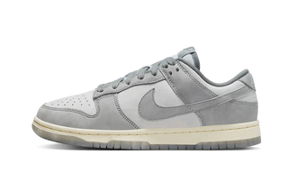 Nike Dunk Low Cool Grey