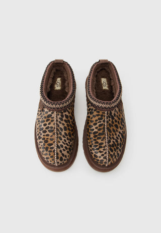 Ugg Tazz Slipper Caspian Burnt Cedar